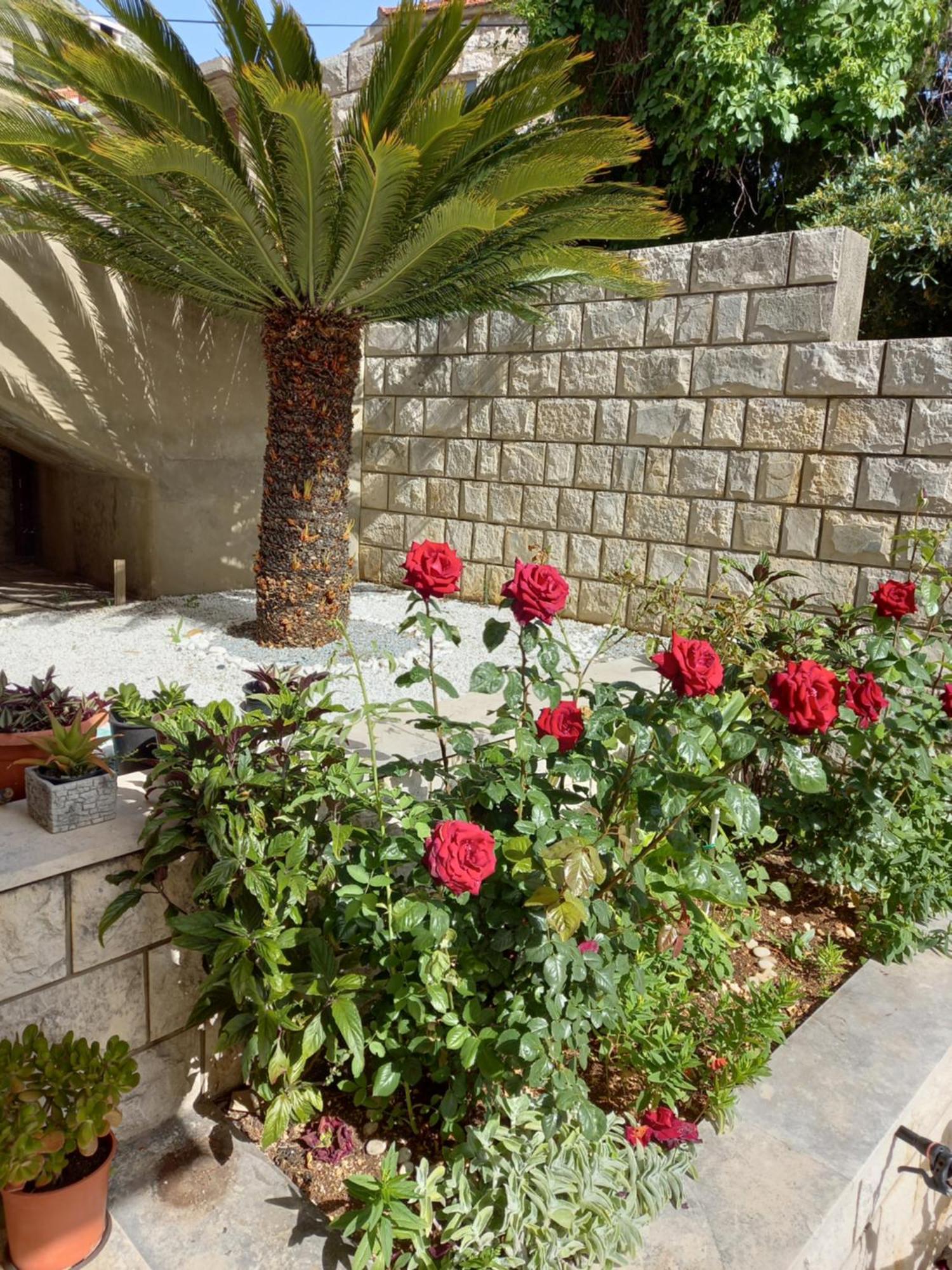 דוברובניק Rooms Radic מראה חיצוני תמונה